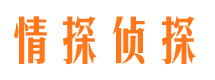 安国侦探公司